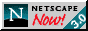 Netscape 3.0 logo