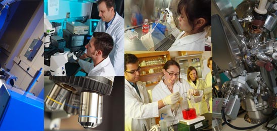 Why Chemical, Biological and Materials Engineering?