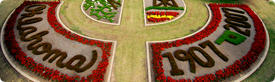 Faculty Awards & Distinguished Professorships