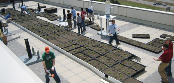 Experimental Green Roof