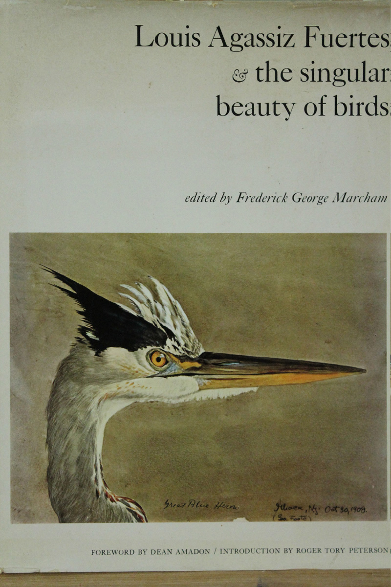 Marcham, Frederick George.  1971.  Louis Agassiz Fuertes and the singular beauty of birds. Magnificent plates.
