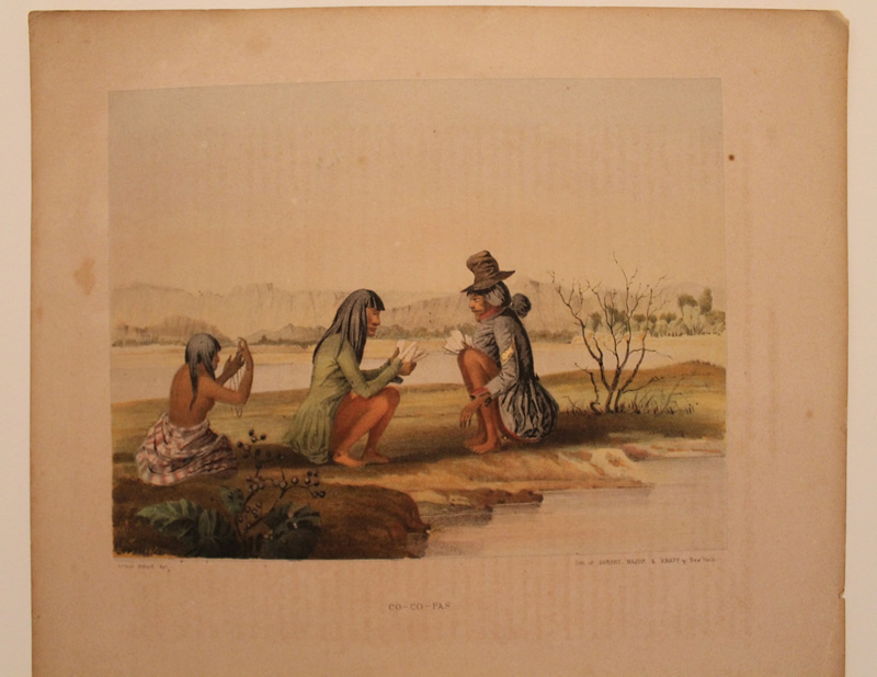 Sarony, Major and Knapp. color litho.  1857. 8 1/2 X 11 1/4"  From report on the US-Mexican boundary survey.