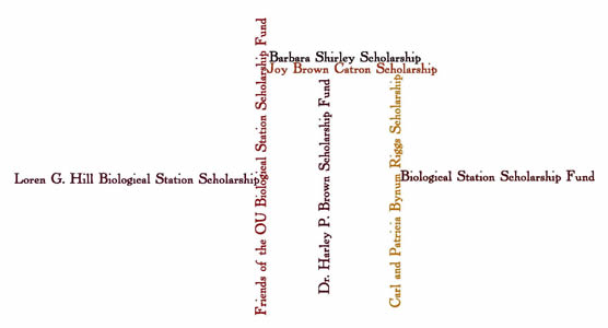 Scholarship listing 