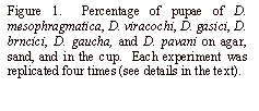 Text Box: Figure 1.  Percentage of pupae of D. mesophragmatica, D. viracochi, D. gasici, D. brncici, D. gaucha, and D. pavani on agar, sand, and in the cup.  Each experiment was replicated four times (see details in the text).