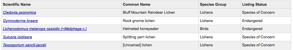 Lichen-Endangered