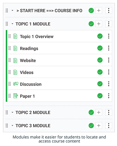 Example of Modules in Canvas