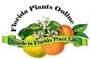 Florida Plants Online