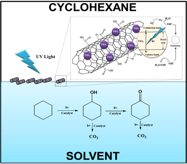 Solvent Effects on Biphasic Photocatalytic Partial Oxidation of Cyclohexane. Functionalized SMW nanotubes, where TiO2 have been deposited by sol gel method, located at the oil-water interface along with the mechanisms of the activation of photocatalytic activity for cyclohexane. 
