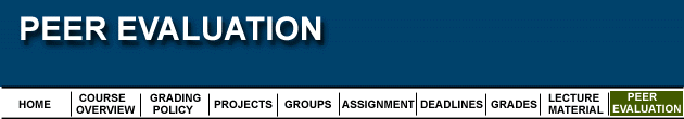 Peer Evaluation