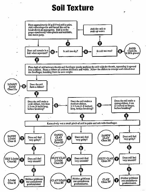 Soil Ribbon Test Chart