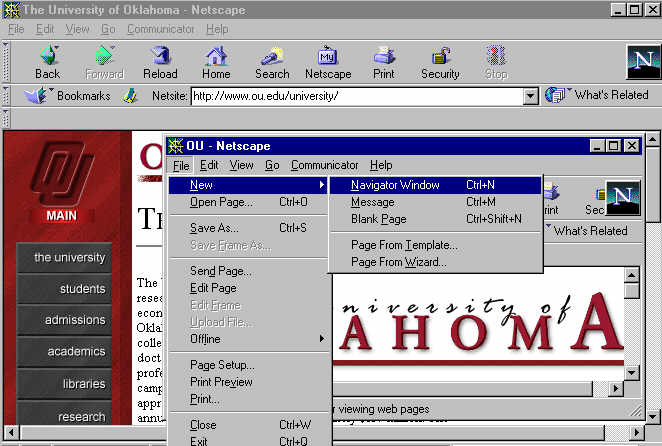 Frame Example Open New Netscape Browser Window