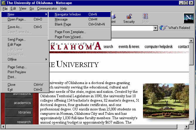 Netscape Browser Open Frame in New Browser Window