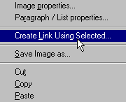 Netscape Editor Create link Using Selected Dialog Box