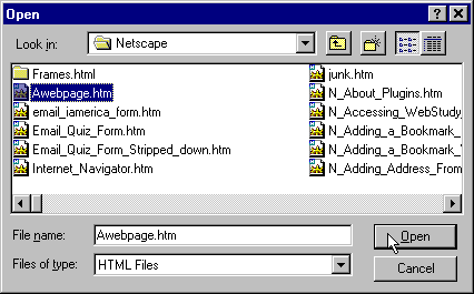 Netscape Editor  Open File  Dialog Box