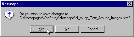 Netscape Editor  Save Changes  Dialog Box