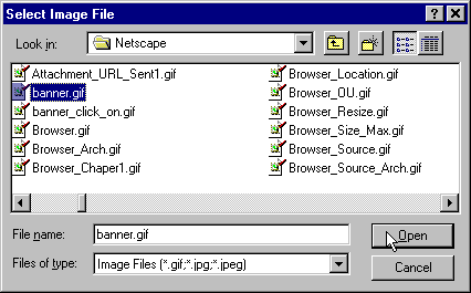 Netscape Editor Select Image File Dialog Box