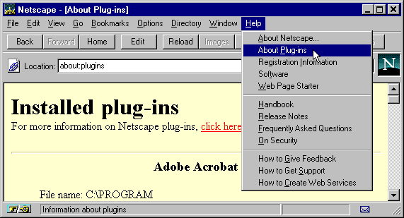 The Installed Netscape Plug-in's  Window