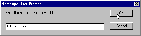 Netscape User Promp for a New Mail Folder