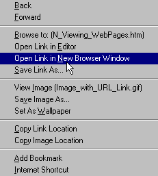 New Browser Window  Pop-up