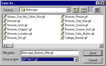 Netscape Save As Window  Saving an Image