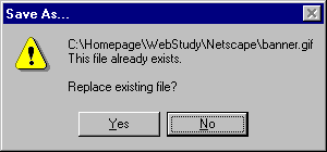 Existing File Warning  form Save As Window