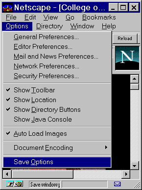 Save Browser Settings