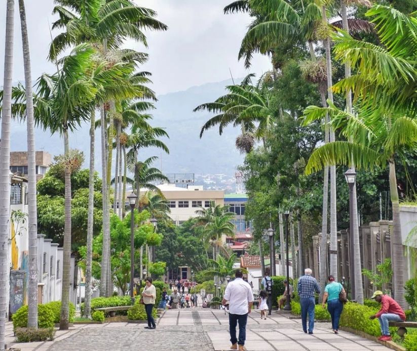 Street lines with palm trees in Costa Rica