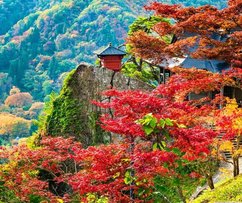 nature in japan