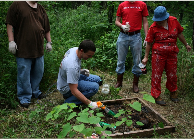 Students Taking Samples in Woods