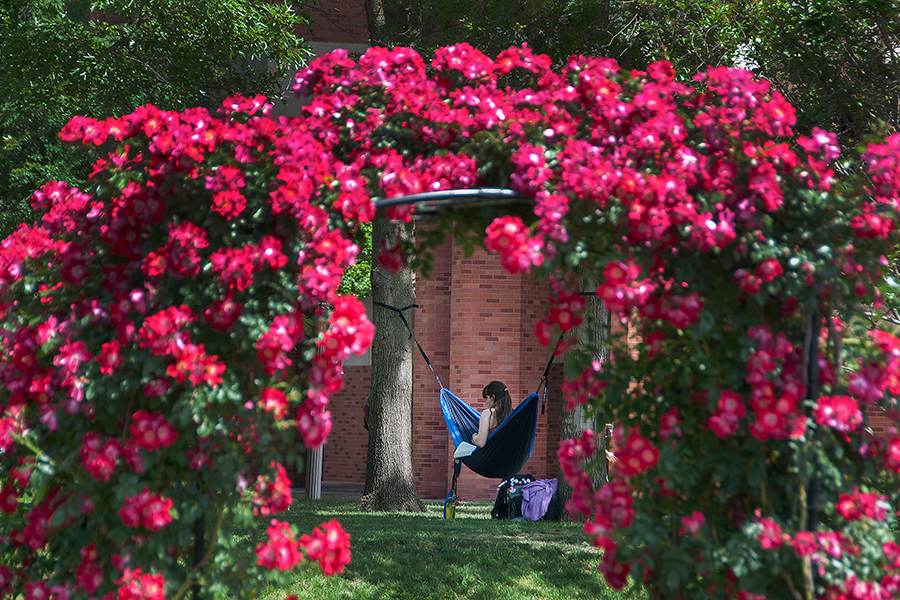 A student in a hammock, framed by pink flowers.