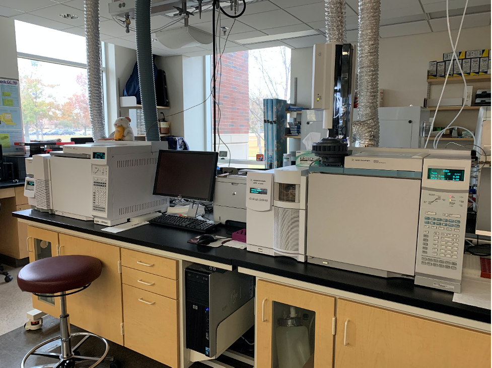 (2) GC / quadrupole MS (2018 & 2019)
