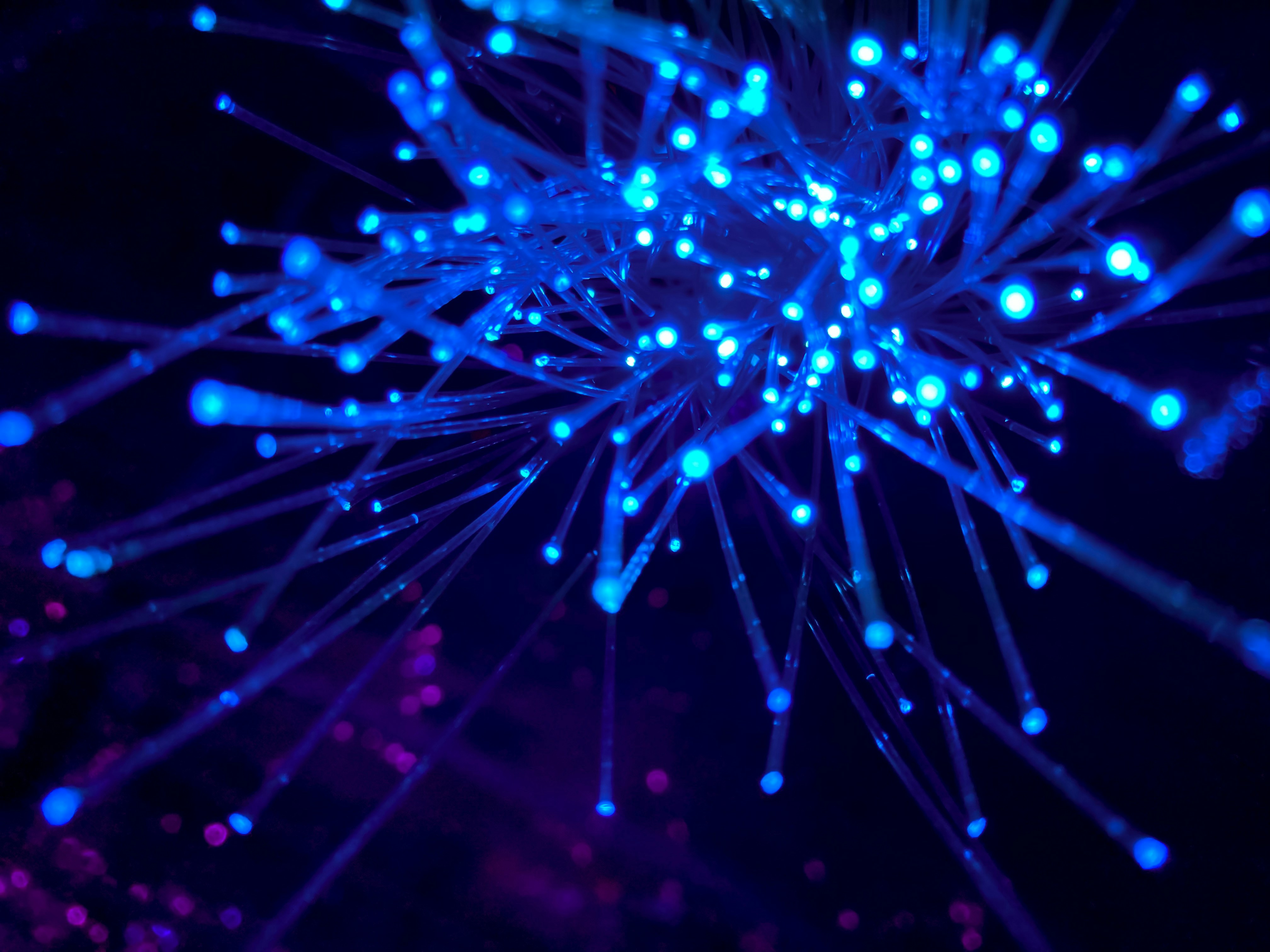 Glowing blue fiber-optic cables against a dark background with purple accents.