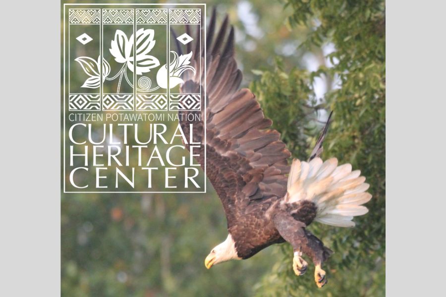 Culutral Heritage of Potawatomi Nation logo on image of American Bald Eagle flying.
