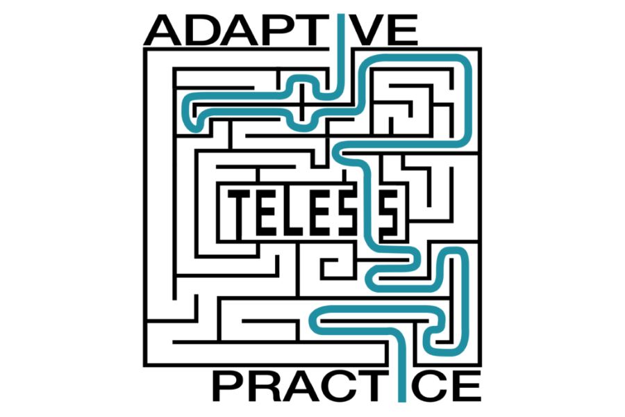 Adaptive practice Telesis logo.