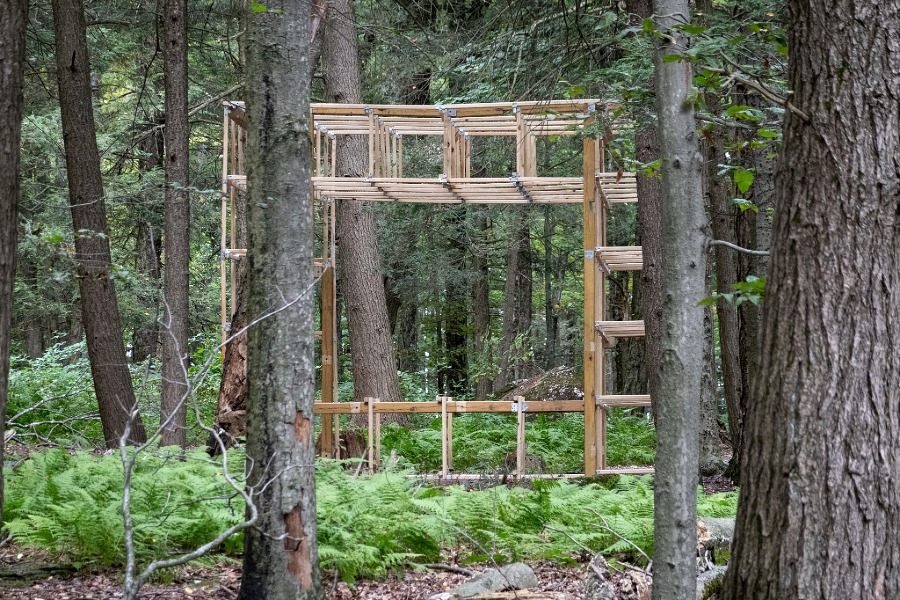 Frame of a wooden structure in the woods. 