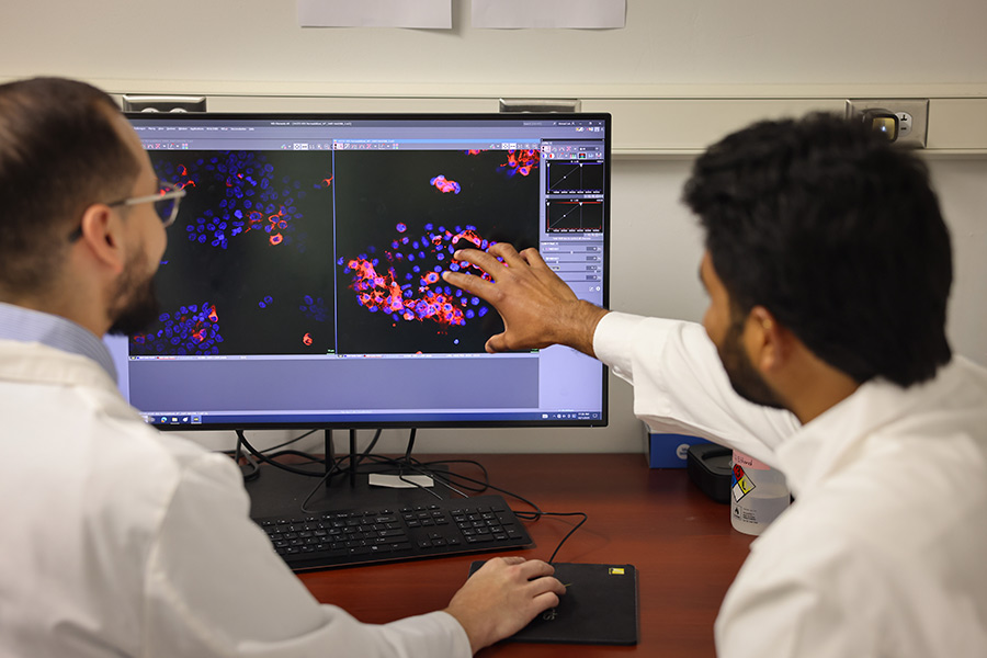 Two researchers reviewing a medical scan at the computer.