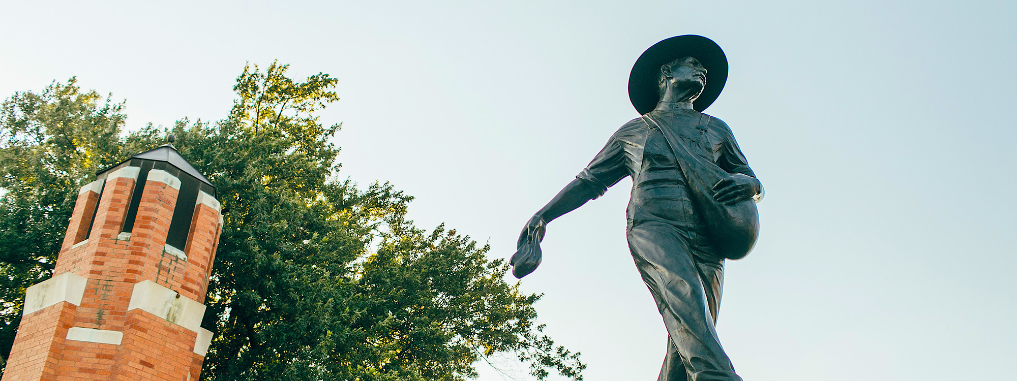 Seed Sower and tree branches 