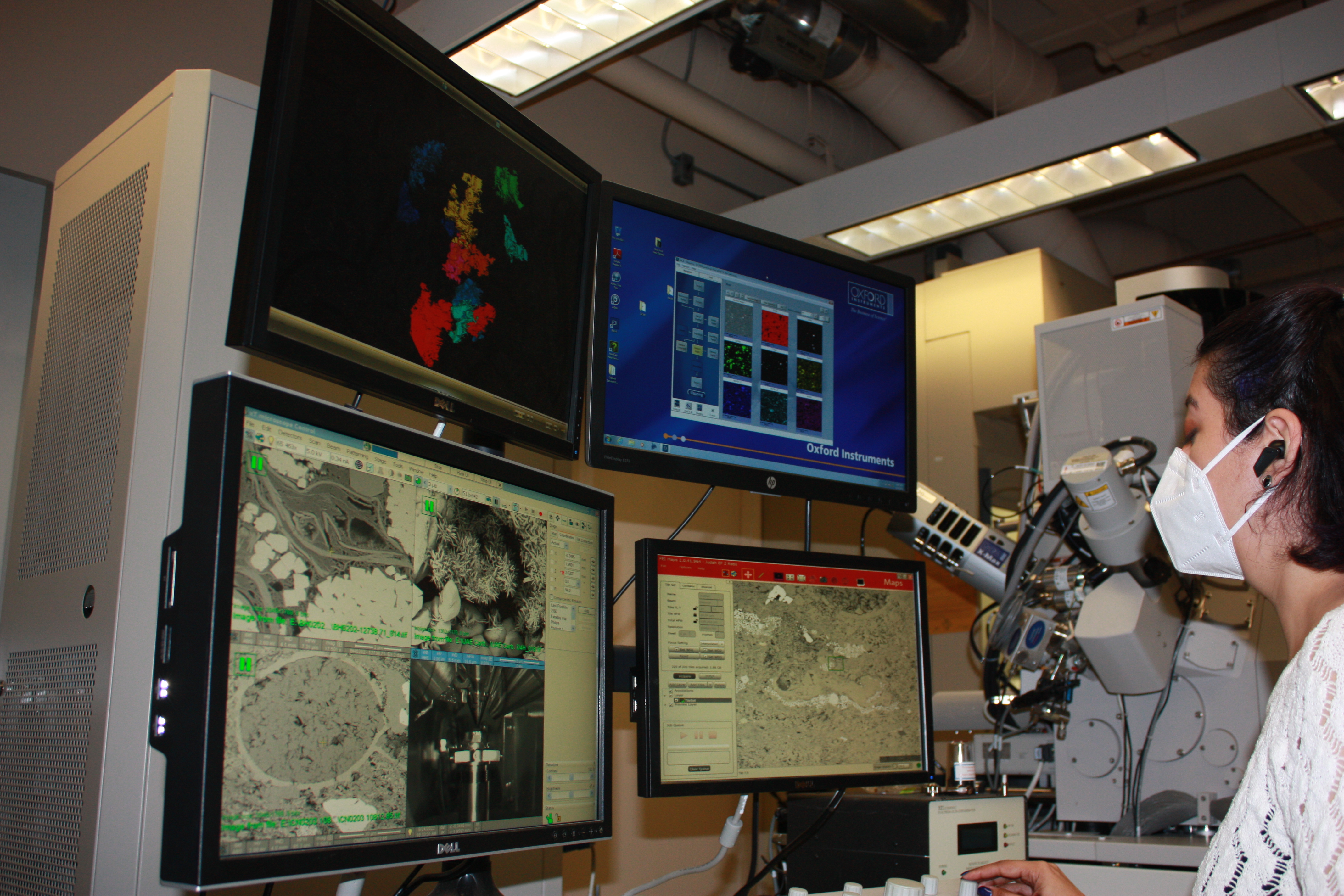 Floating red cells in a transparent fluid.