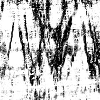 CNN fault image in black and white.