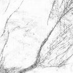 Greyscale image of lineations related to seismic attribute features.