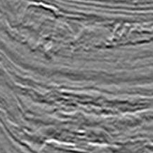 Seismic data in grey color.