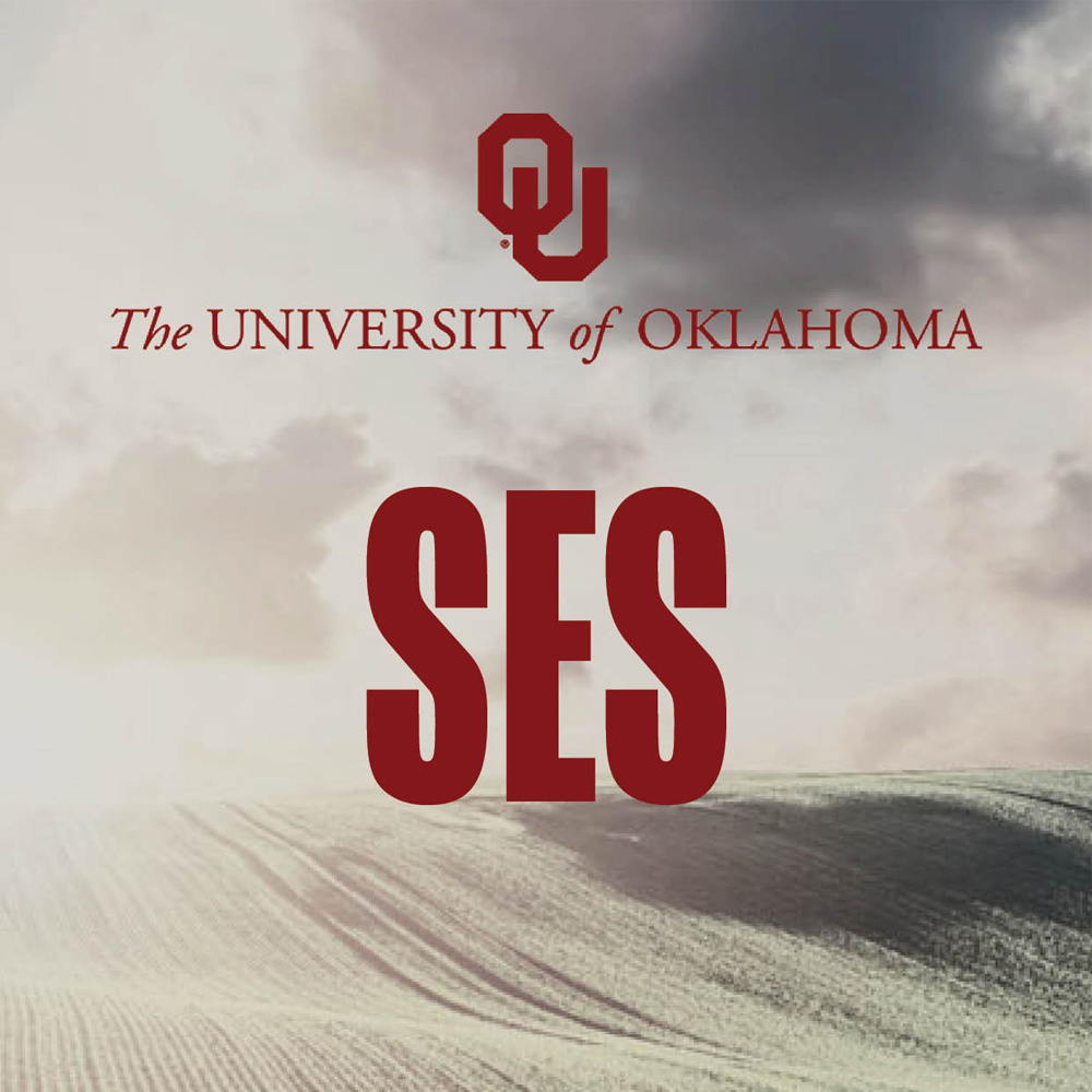 Sustainable Energy Systems Logo.