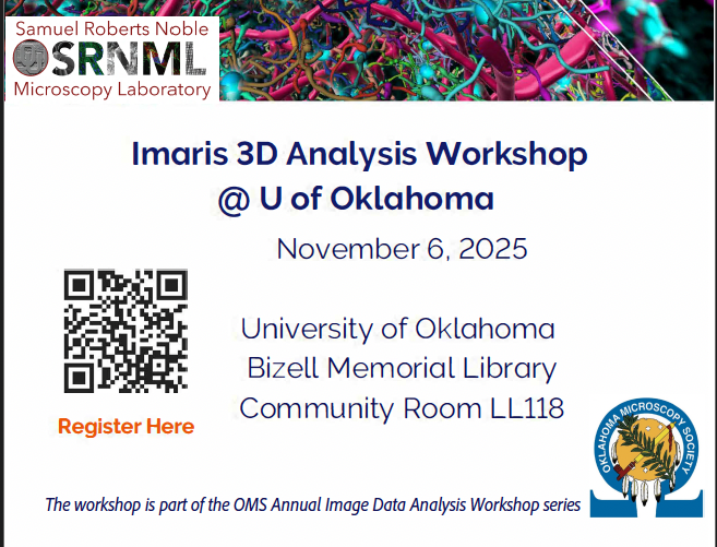 2025 Imaris 3D Image Analysis Workshop