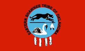 Larger view of Tribal Flag