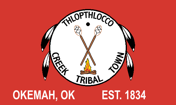 Larger view of Tribal Flag