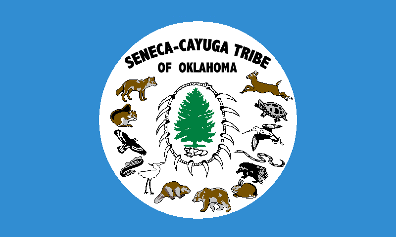 Larger view of Tribal Flag