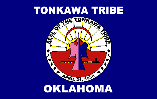 Larger view of Tribal Flag