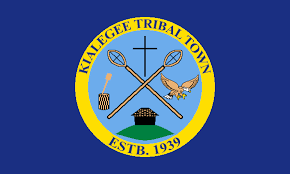Larger view of Tribal Flag