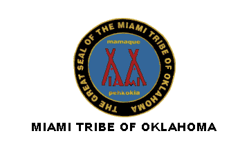 Larger view of Tribal Flag