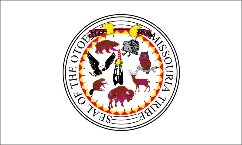 Larger view of Tribal Flag